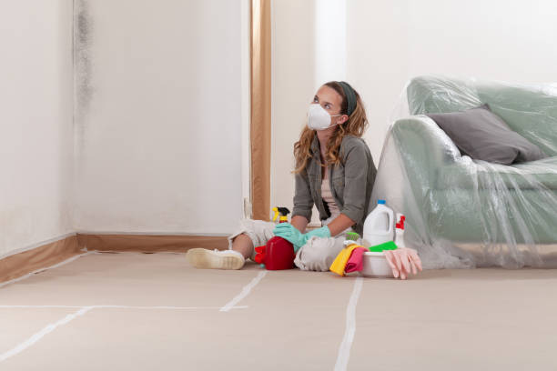 Reliable Bathroom Mold Removal contractor in Bahama, NC by WQB Mold Removal